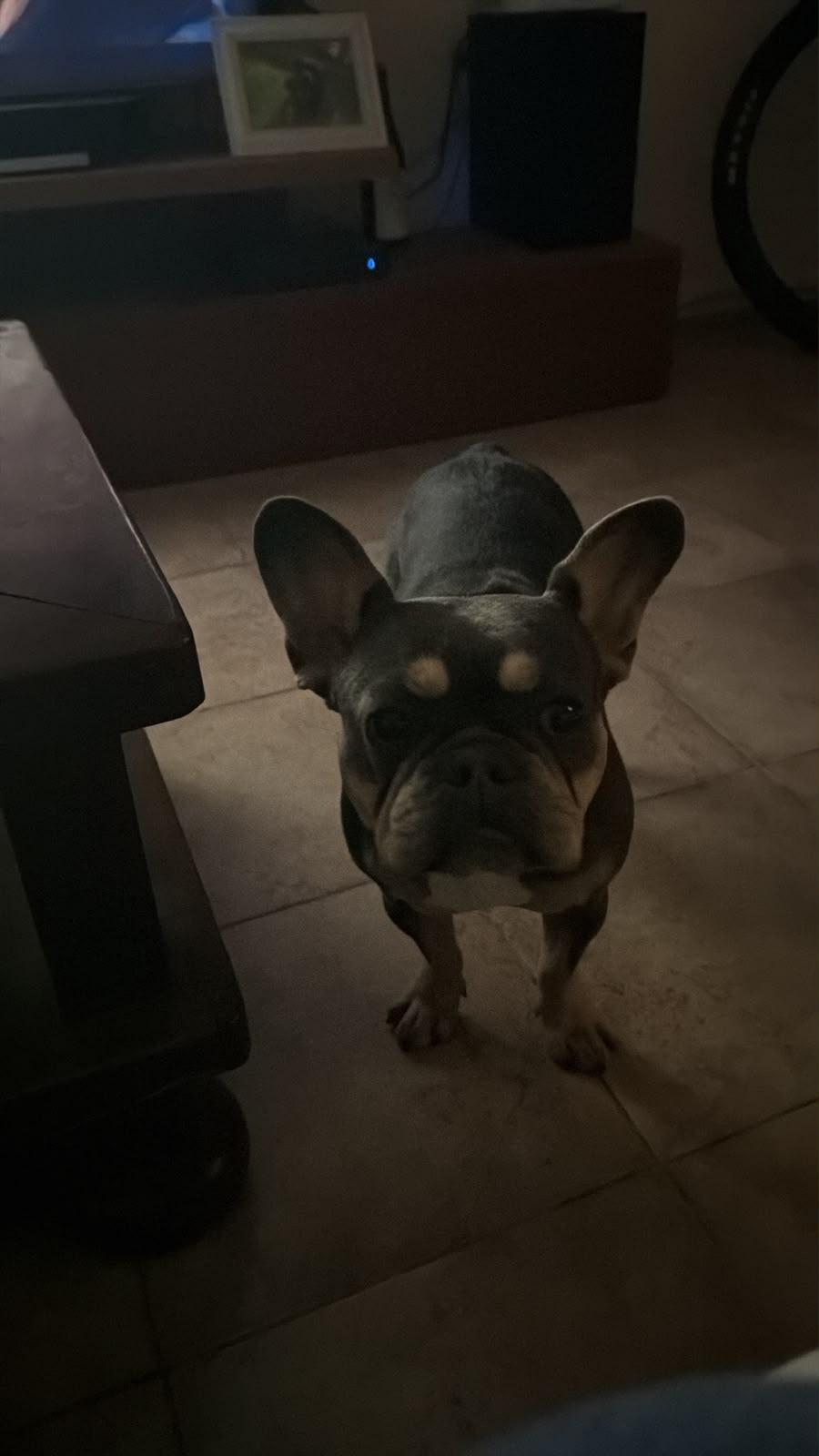 Milka